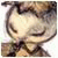 eyenib
